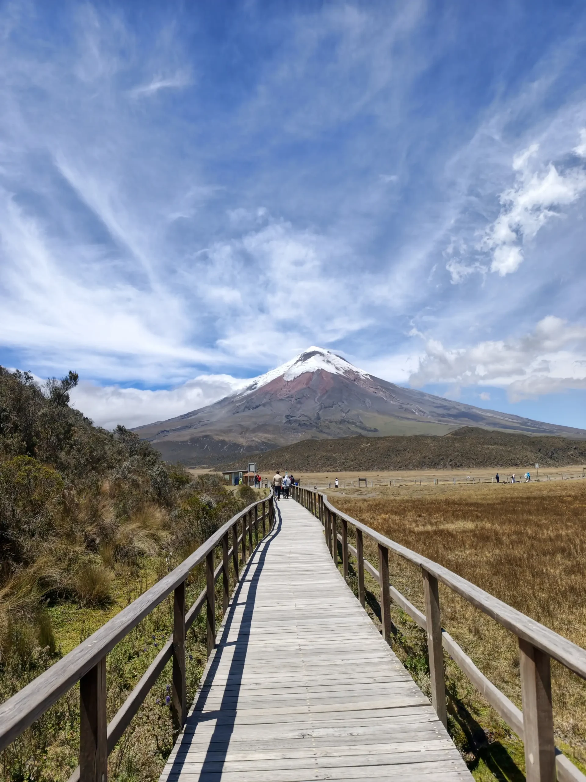 Andes