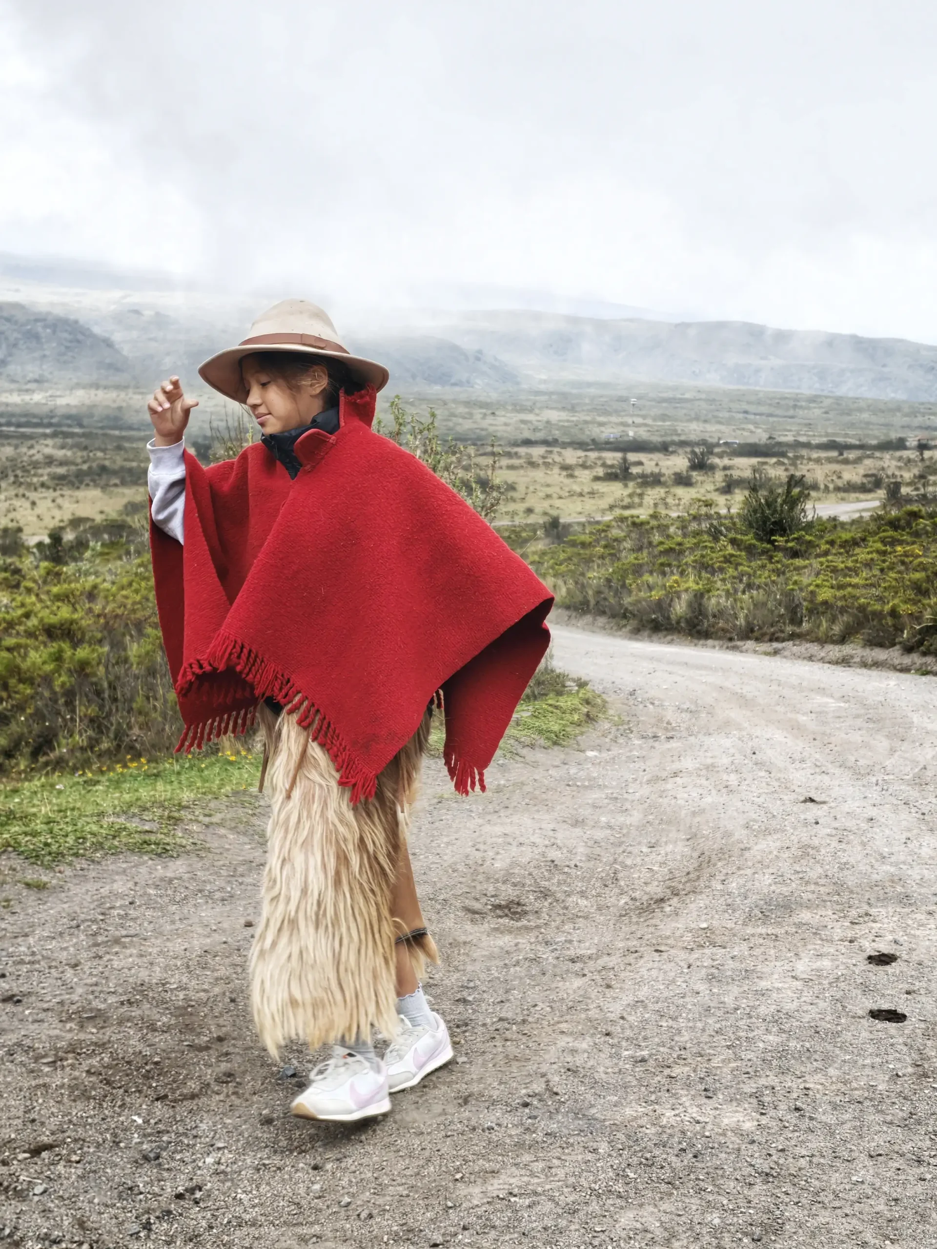 Andes en varios días